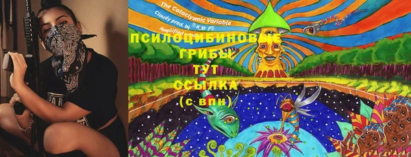 марки lsd Инта