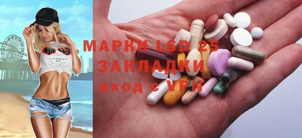 mdpv Инсар